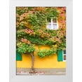 thumbnail image 1 of Johnson, George 24x32 White Modern Wood Framed Museum Art Print Titled - Augsburg Tree and Windows, 1 of 4