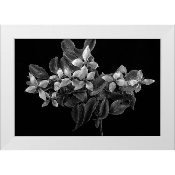 Johnson, George 32x23 White Modern Wood Framed Museum Art Print Titled - In From the Rain