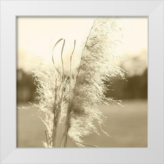 Johnson, Jason 12x12 White Modern Wood Framed Museum Art Print Titled - Ethereal Pampas VI