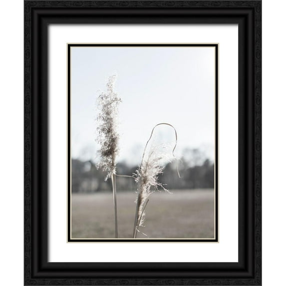 Johnson, Jason 12x14 Black Ornate Wood Framed with Double Matting Museum Art Print Titled - Ethereal Pampas II
