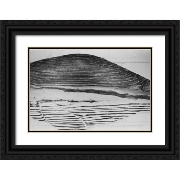 Johnson, Jason 14x11 Black Ornate Wood Framed with Double Matting Museum Art Print Titled - Found Textures III