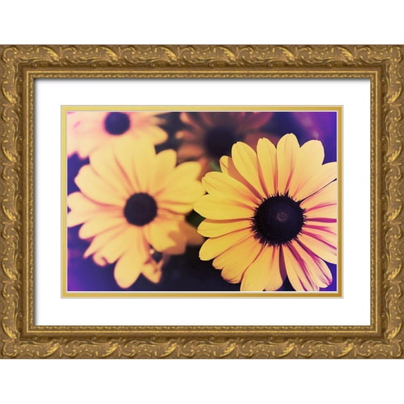 Johnson, Jason 14x11 Gold Ornate Wood Framed with Double Matting Museum Art Print Titled - Susans IV