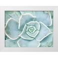 thumbnail image 1 of Johnson, Jason 14x12 White Modern Wood Framed Museum Art Print Titled - Storybook Succulent II, 1 of 4