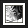 thumbnail image 1 of Johnson, Jason 15x15 Black Ornate Wood Framed with Double Matting Museum Art Print Titled - Black and White Palm IV, 1 of 4