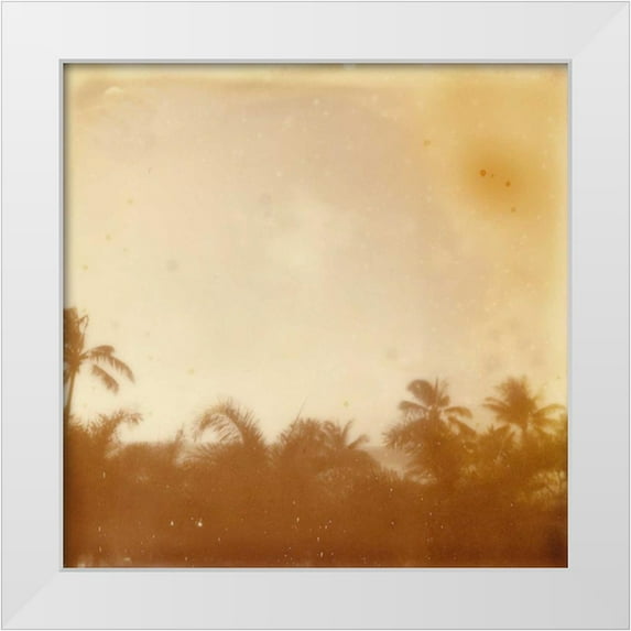 Johnson, Jason 15x15 White Modern Wood Framed Museum Art Print Titled - Halia Aloha VII