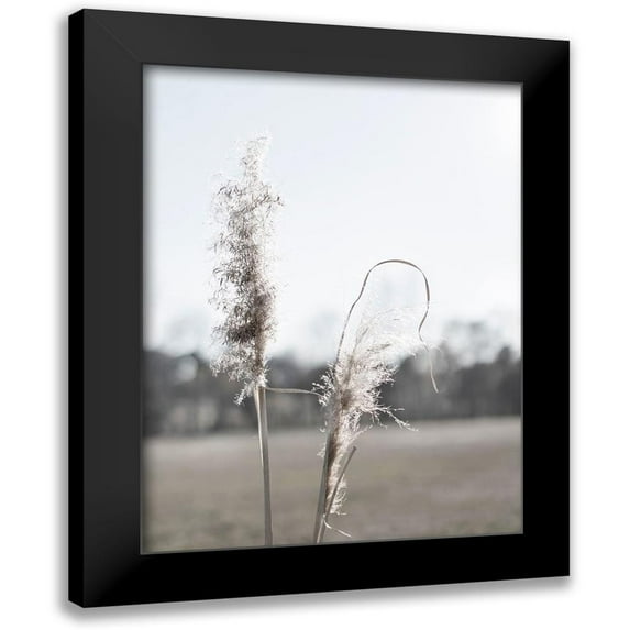 Johnson, Jason 15x18 Black Modern Framed Museum Art Print Titled - Ethereal Pampas II