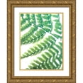 thumbnail image 1 of Johnson, Jason 15x18 Gold Ornate Wood Framed with Double Matting Museum Art Print Titled - Fern Glow II, 1 of 4