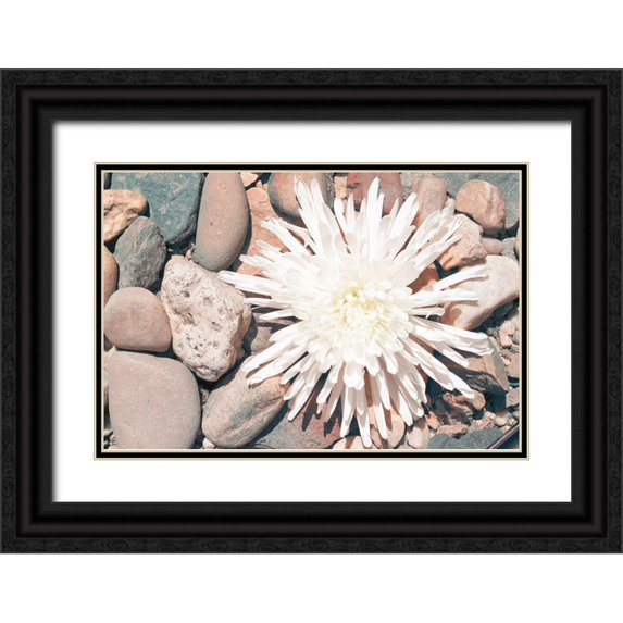 Johnson, Jason 18x13 Black Ornate Wood Framed with Double Matting Museum Art Print Titled - Pebble Beach II