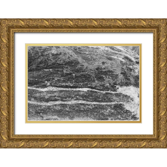 Johnson, Jason 18x13 Gold Ornate Wood Framed with Double Matting Museum Art Print Titled - Found Textures X