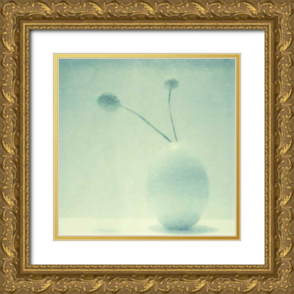 Johnson, Jason 20x20 Gold Ornate Wood Framed with Double Matting Museum Art Print Titled - Color Shade II