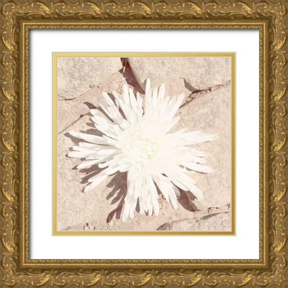 Johnson, Jason 20x20 Gold Ornate Wood Framed with Double Matting Museum Art Print Titled - Stone Blossom III