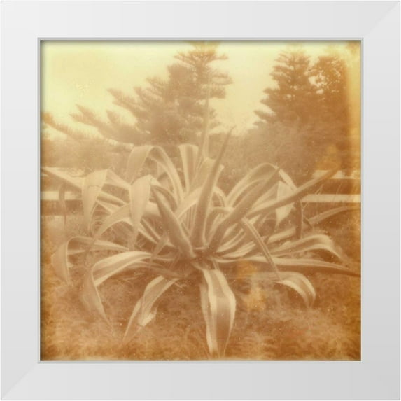 Johnson, Jason 20x20 White Modern Wood Framed Museum Art Print Titled - Halia Aloha II
