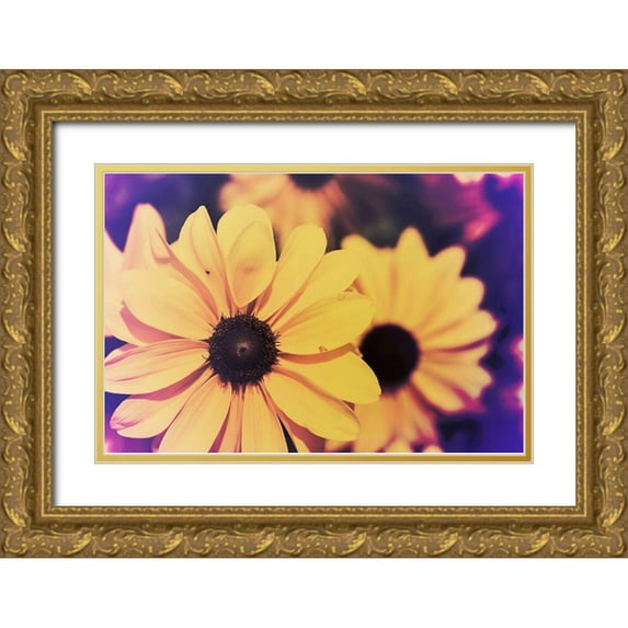 Johnson, Jason 24x17 Gold Ornate Wood Framed with Double Matting Museum Art Print Titled - Susans III