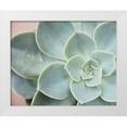 thumbnail image 1 of Johnson, Jason 24x20 White Modern Wood Framed Museum Art Print Titled - Succulent Glow III, 1 of 4