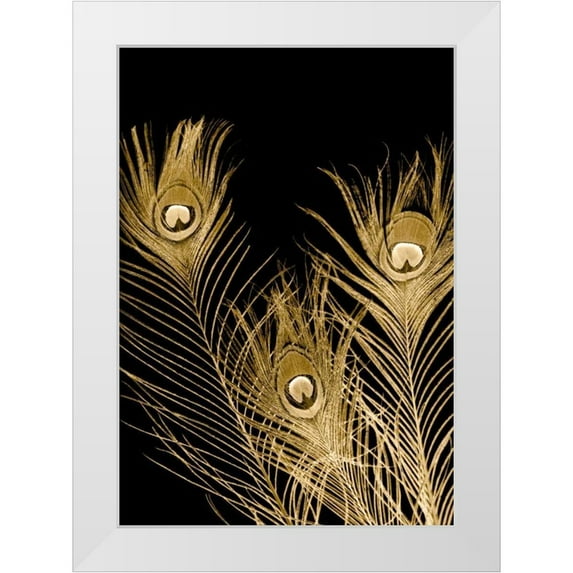 Johnson, Jason 24x32 White Modern Wood Framed Museum Art Print Titled - Plumes Dor I