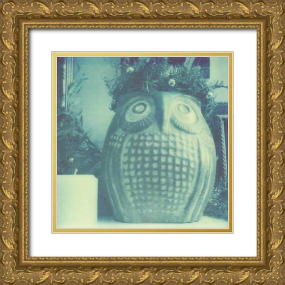 Johnson, Jason 26x26 Gold Ornate Wood Framed with Double Matting Museum Art Print Titled - Color Shade VI