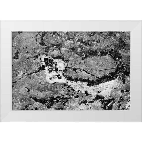 Johnson, Jason 32x23 White Modern Wood Framed Museum Art Print Titled - Found Textures XIV