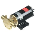 thumbnail image 1 of 10" Black and Gold Pump Rogue Ballast Pump, 1 of 3