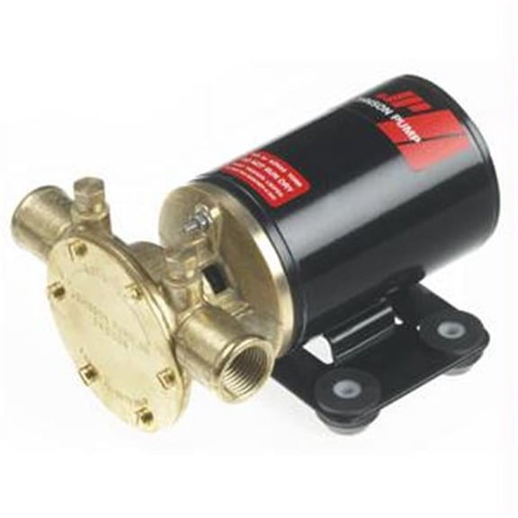 Johnson Pump F38B-19 480 GPH Multi-Use Utility Pump
