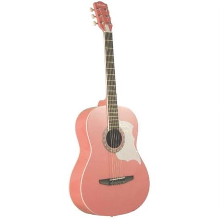 Johnson Student Acoustic