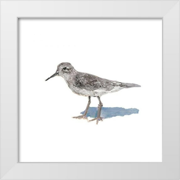 Johnson, Walt 12x12 White Modern Wood Framed Museum Art Print Titled - Sandpiper on White II