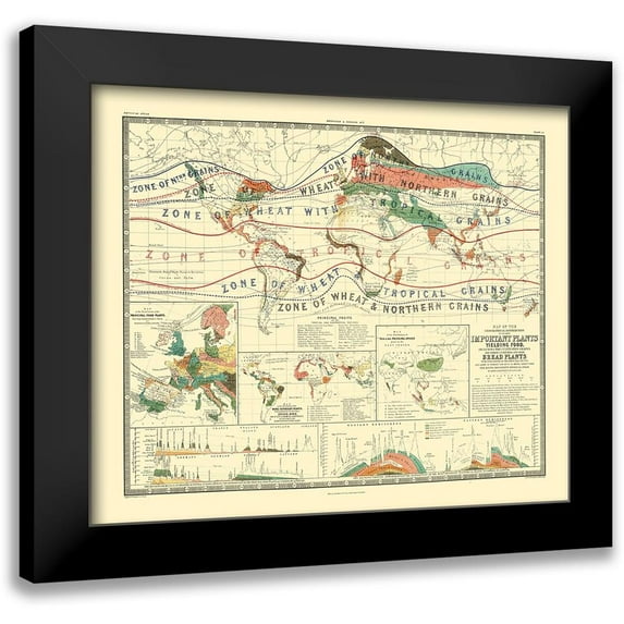 Johnston 17x15 Black Modern Framed Museum Art Print Titled - World Cultivation Grains - Johnston