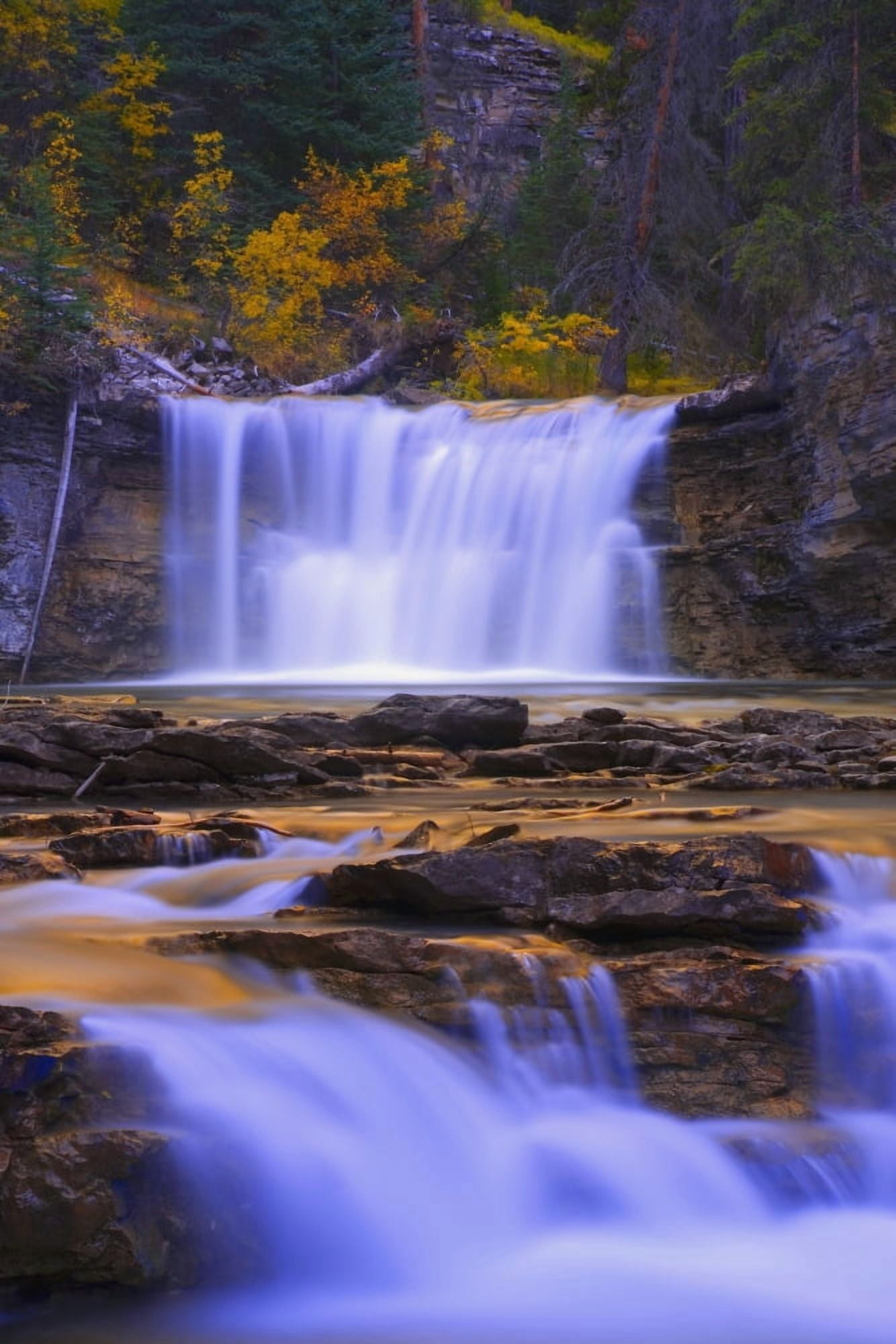 Johnston Canyon In Banff National Park Alberta Canada Canvas Art - Carson Ganci Design Pics (22 x 34)