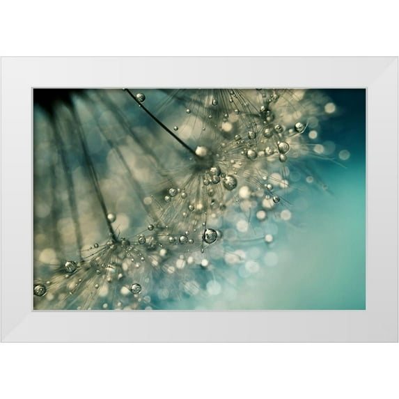 Johnstone, Sharon 18x13 White Modern Wood Framed Museum Art Print Titled - Indigo Sparkles