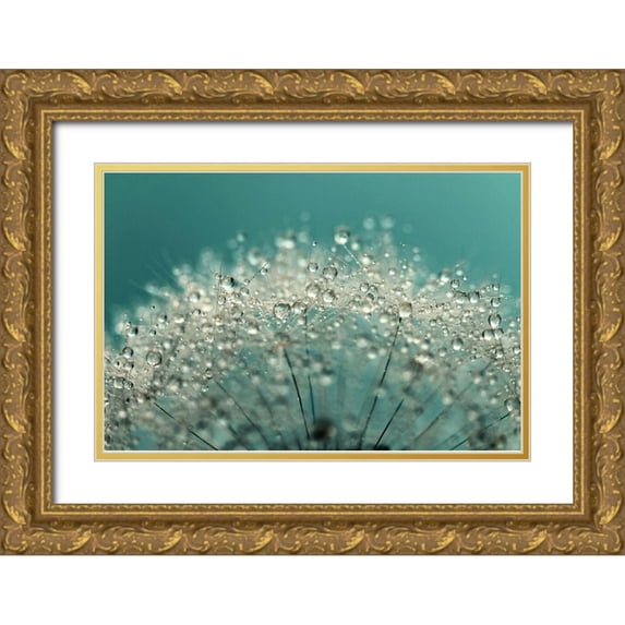 Johnstone, Sharon 24x17 Gold Ornate Wood Framed with Double Matting Museum Art Print Titled - Cyan Sparkles