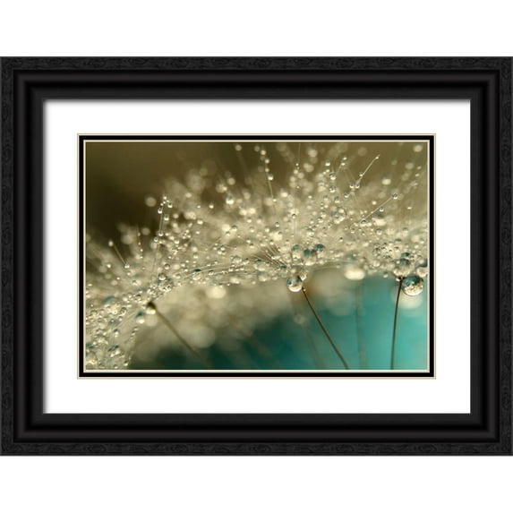 Johnstone, Sharon 32x23 Black Ornate Wood Framed with Double Matting Museum Art Print Titled - Smoky Blue