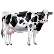 Jointed Cow Party Accessory (1 count) (1/Pkg)
