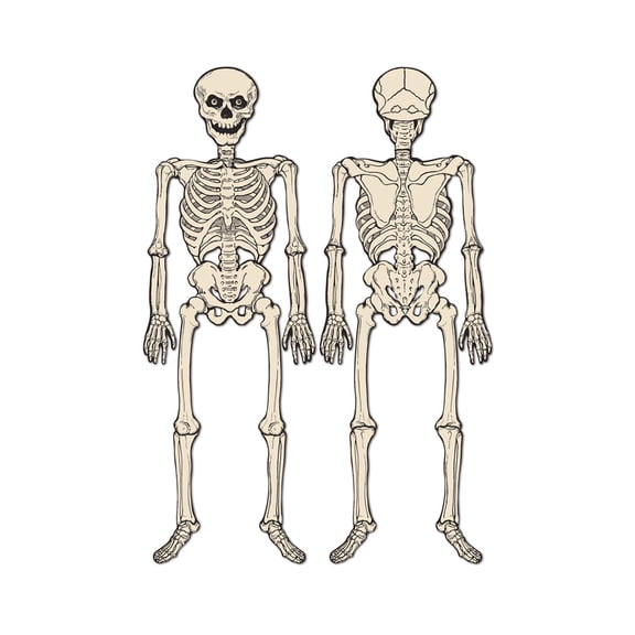 Party Decoration Jointed Skeleton 4' 3" - 12 Pack (1 Per Package)