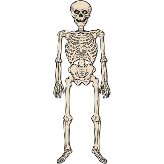 Party Decoration Jointed Skeleton 4' 3" - 12 Pack (1 Per Package)