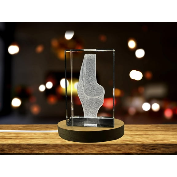 Joints Art| 3D Engraved Crystal Keepsake |Crystal | Home decor | Clear | AB Crystal Collection