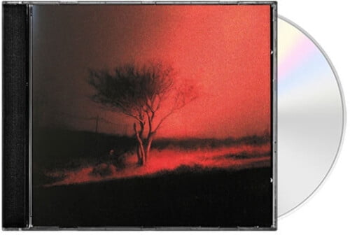 Joji - Piss In The Wind - Music & Performance - CD - Walmart.com