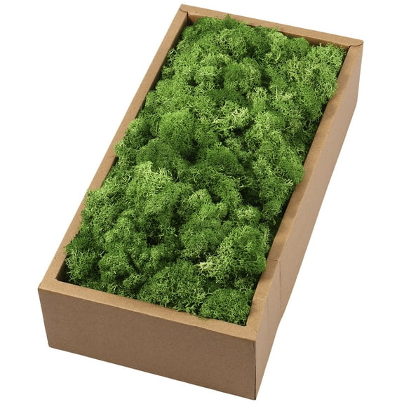 Jokapy Preserved Moss for Crafts Reindeer Moss Artificial Moss for Wall Art, 7oz, Green