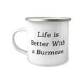 thumbnail image 1 of Joke Burmese Cat 12oz Camper Mug, Life is Better With a Burmese, Gag Gifts for Cat Lovers, Christmas Gifts, 1 of 2
