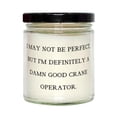 thumbnail image 1 of Joke Crane Operator Gifts, I May NOT BE Perfect, BUT I'm Definitely, Joke Birthday Scent Candle Gifts for Coworkers from Friends, Inexpensive Crane Operator Gifts, Affordable Crane Operator Gifts,, 1 of 1