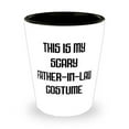 thumbnail image 1 of Joke Father-in-law Shot Glass, This Is My Scary Father-In-Law Costume, Useful for Dad, Father's Day, 1 of 1