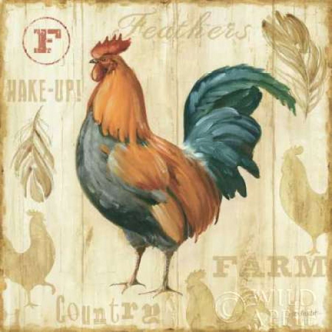 Joli Rooster IIC Canvas Art - Lisa Audit (24 x 24)