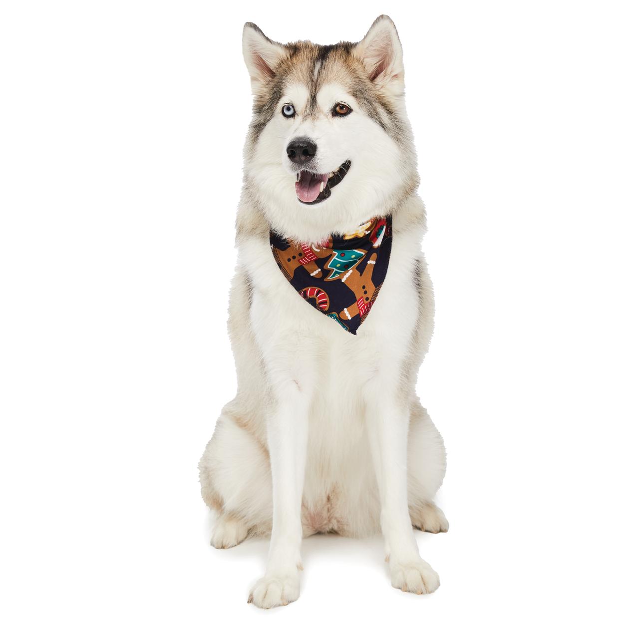 Jolly Jammies Matching Family Pet Bandana