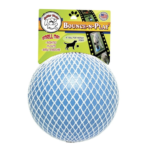 Jolly Pet Bounce n Play Ball, 6" Blueberry Dog Toy