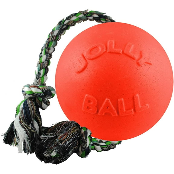 Jolly Pet Romp N Roll Dog Toy, 8", Orange