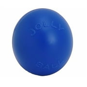 Jolly Pets Push-N-Play Ball Blue 10 inch Interactive Hard Plastic Toy for Dogs