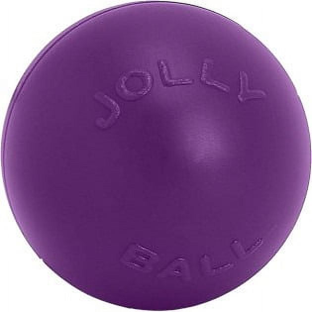 Jolly Pets Push N Play Ball Dog