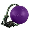 thumbnail image 1 of Jolly Pets Romp-N-Roll Ball, 1 of 7