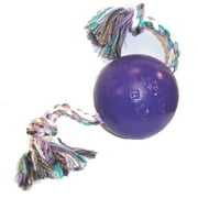 Jolly Pets Romp-n-Roll 4.5 inch Purple  Rubber Ball with Rope for Dogs