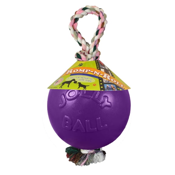 Jolly Pets Romp-n-Roll 4.5 inch Purple Rubber Ball with Rope for Dogs