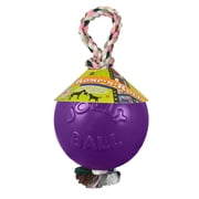 Jolly Pets Romp-n-Roll 4.5 inch Purple Rubber Ball with Rope for Dogs