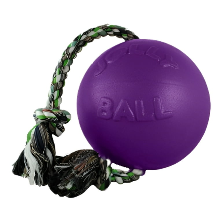 Jolly Pets Romp N Roll Purple Dog Toy Jolly Pets Romp N Roll Purple Dog Toy